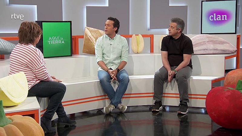 RTVE responde - 26/05/24