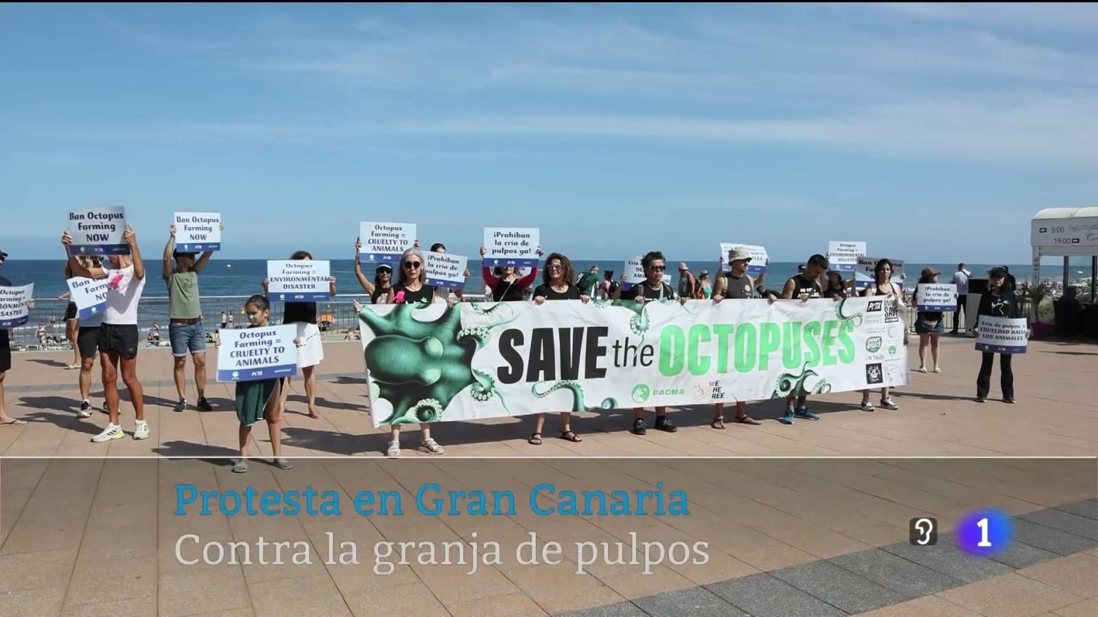 Telecanarias - 26/05/2024 | Ver