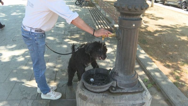 El maig acaba amb temperatures d'estiu - L'Informatiu | Veure