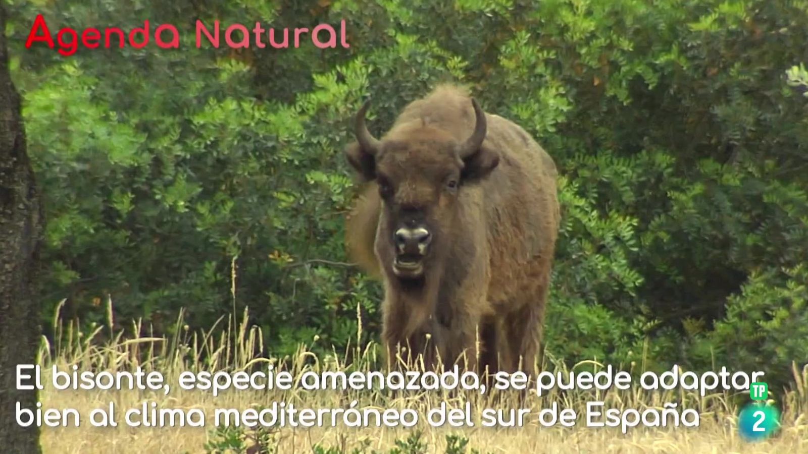 Agenda natural | Ver