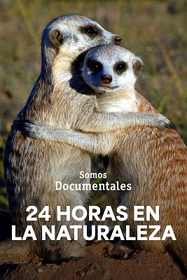 Som Documentals - 24 hores a la natura