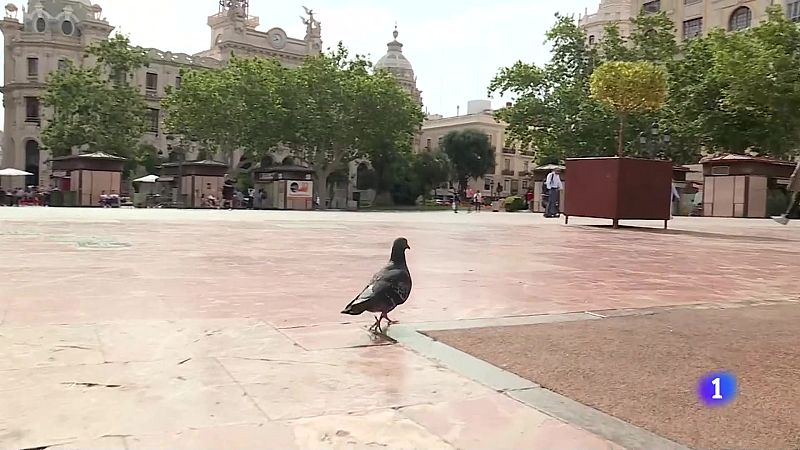 L'Informatiu de la Comunitat Valenciana 2 - 27/05/24 | Ver