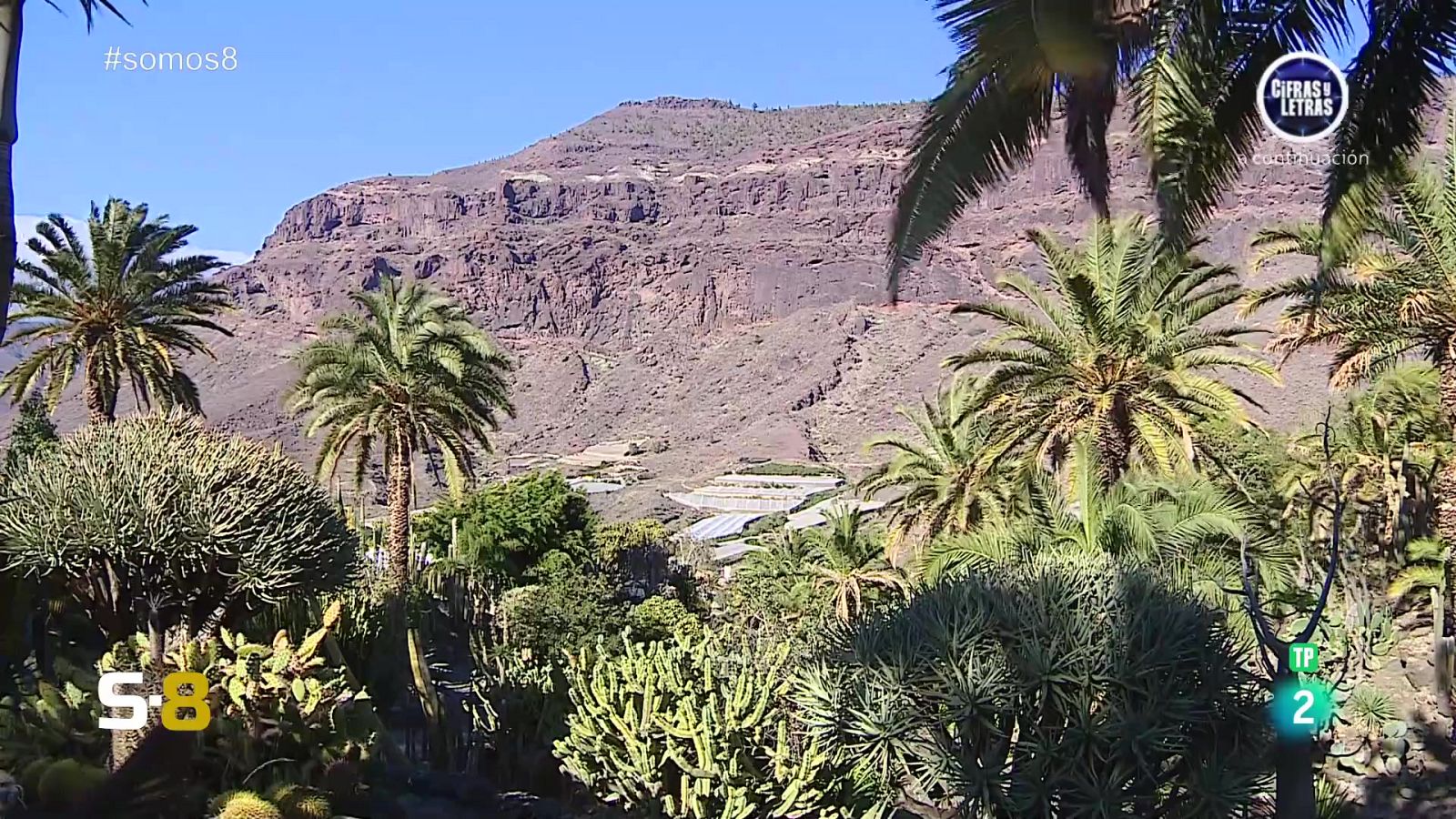 Somos 8 - 27/05/2024 - Somos 8 | Ver