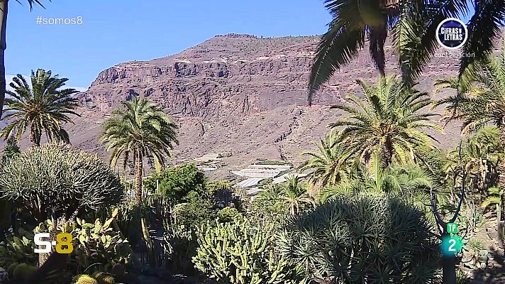 Somos 8 - Somos 8 - 27/05/2024