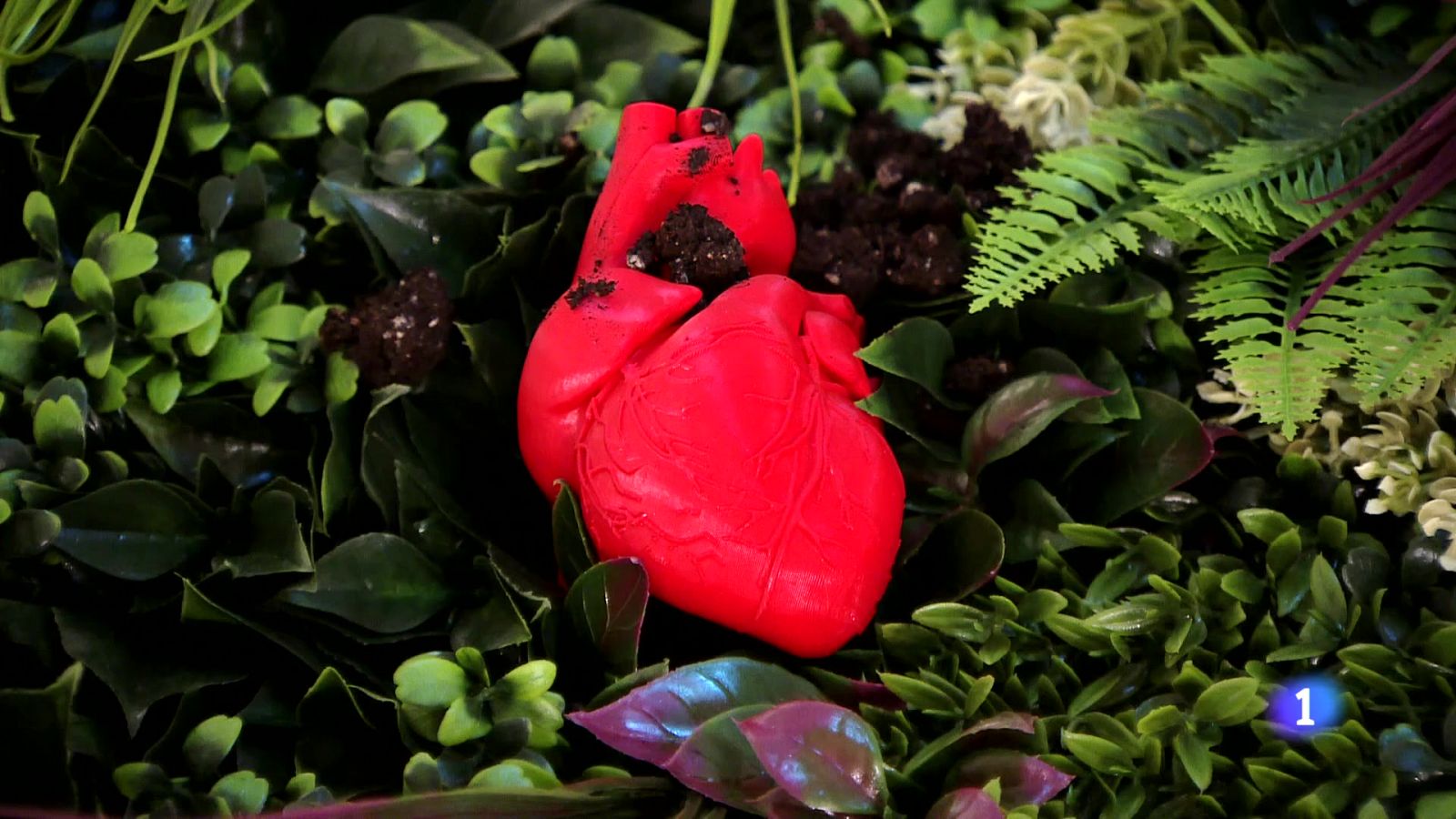 Informativo Telerioja 2 - 28/05/24 | Ver