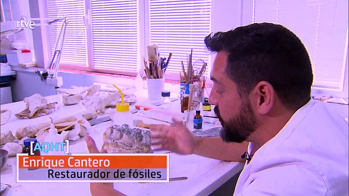 Aquí hay trabajo - Con los trabajadores del Museo Nacional de Ciencias Naturales