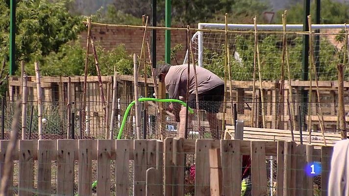 Informativo Telerioja - Informativo Telerioja 2 - 29-05-2024