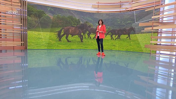 Ahora o nunca - Programa 344