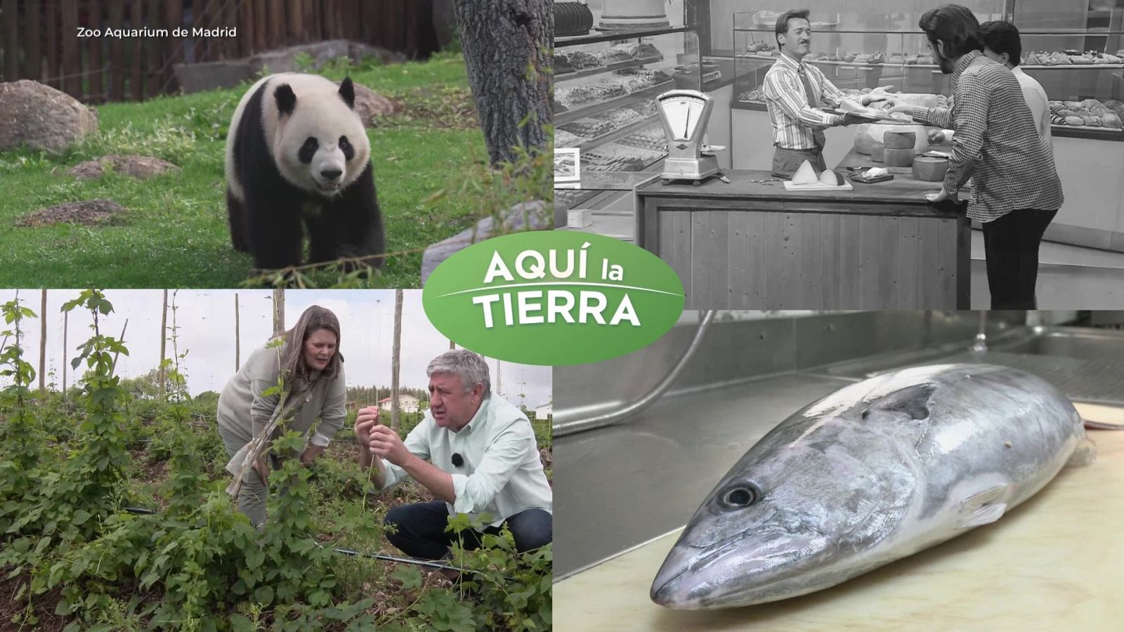 Aquí la Tierra - 30/05/24 - ver ahora