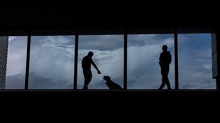El tiempo - Cielos nubosos con algunas precipitaciones y temperaturas sin cambios o en ligero descenso