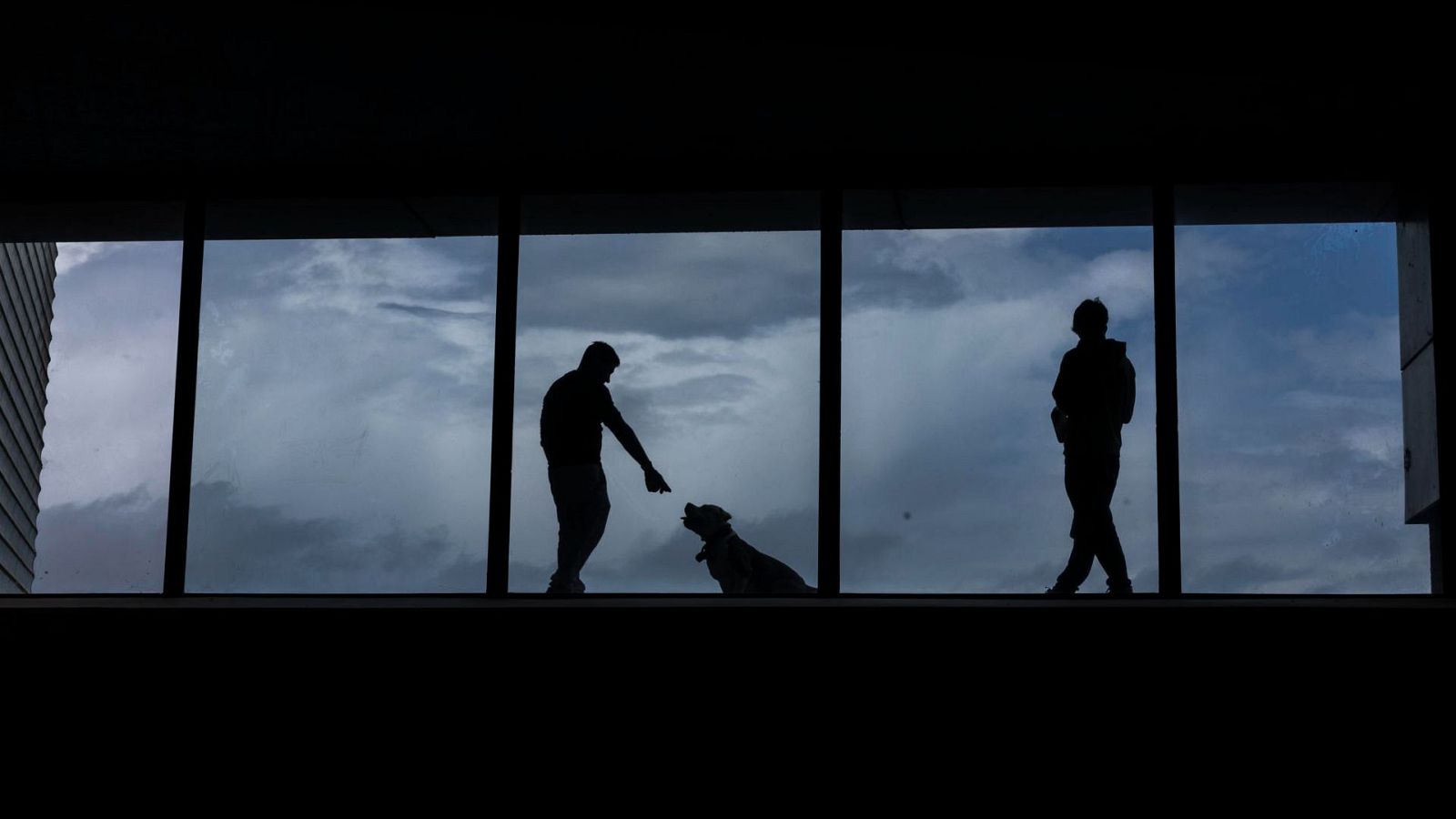 El Tiempo - 31/05/2024 - El tiempo | Ver