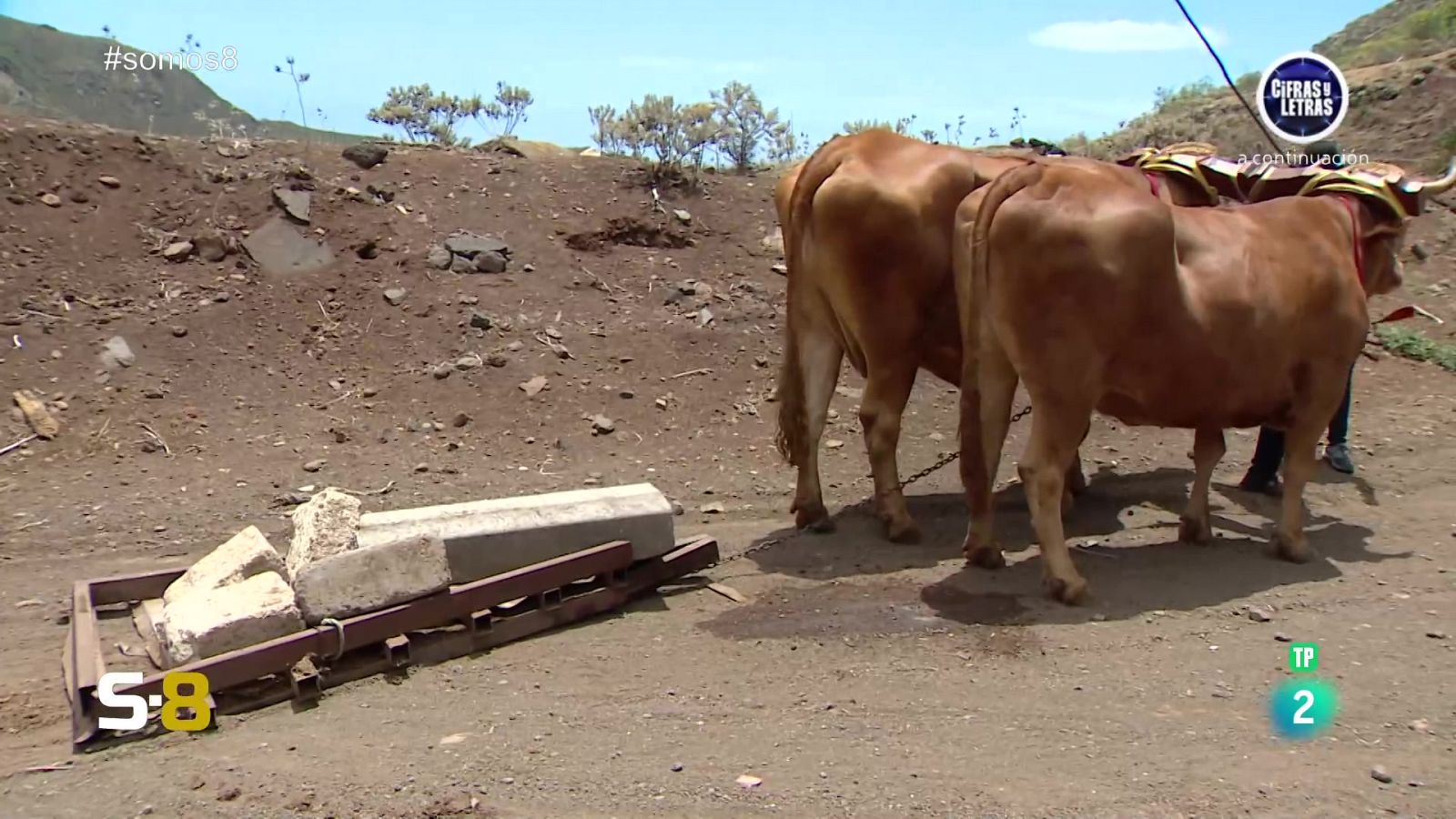 Somos 8 - 30/05/2024 - Somos 8 | Ver