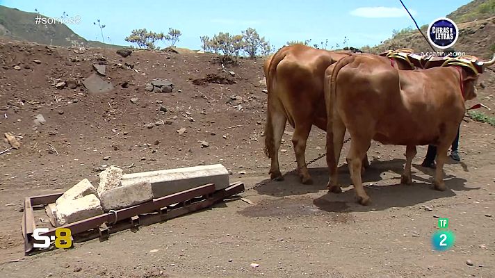 Somos 8 - Somos 8 - 30/05/2024