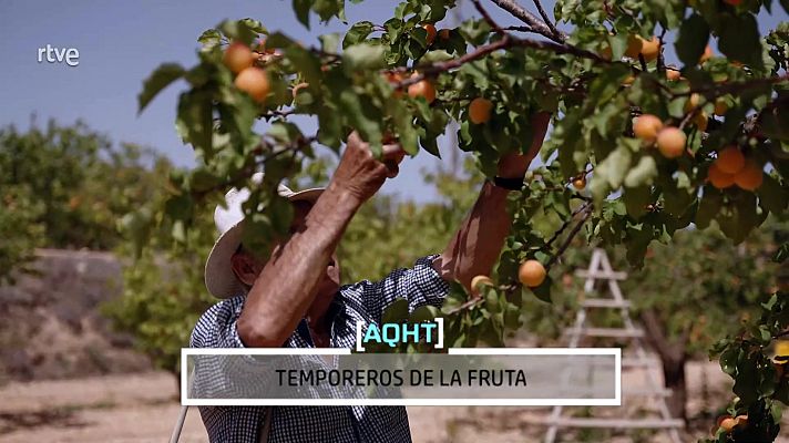 Aquí hay trabajo - Se buscan temporeros de la fruta