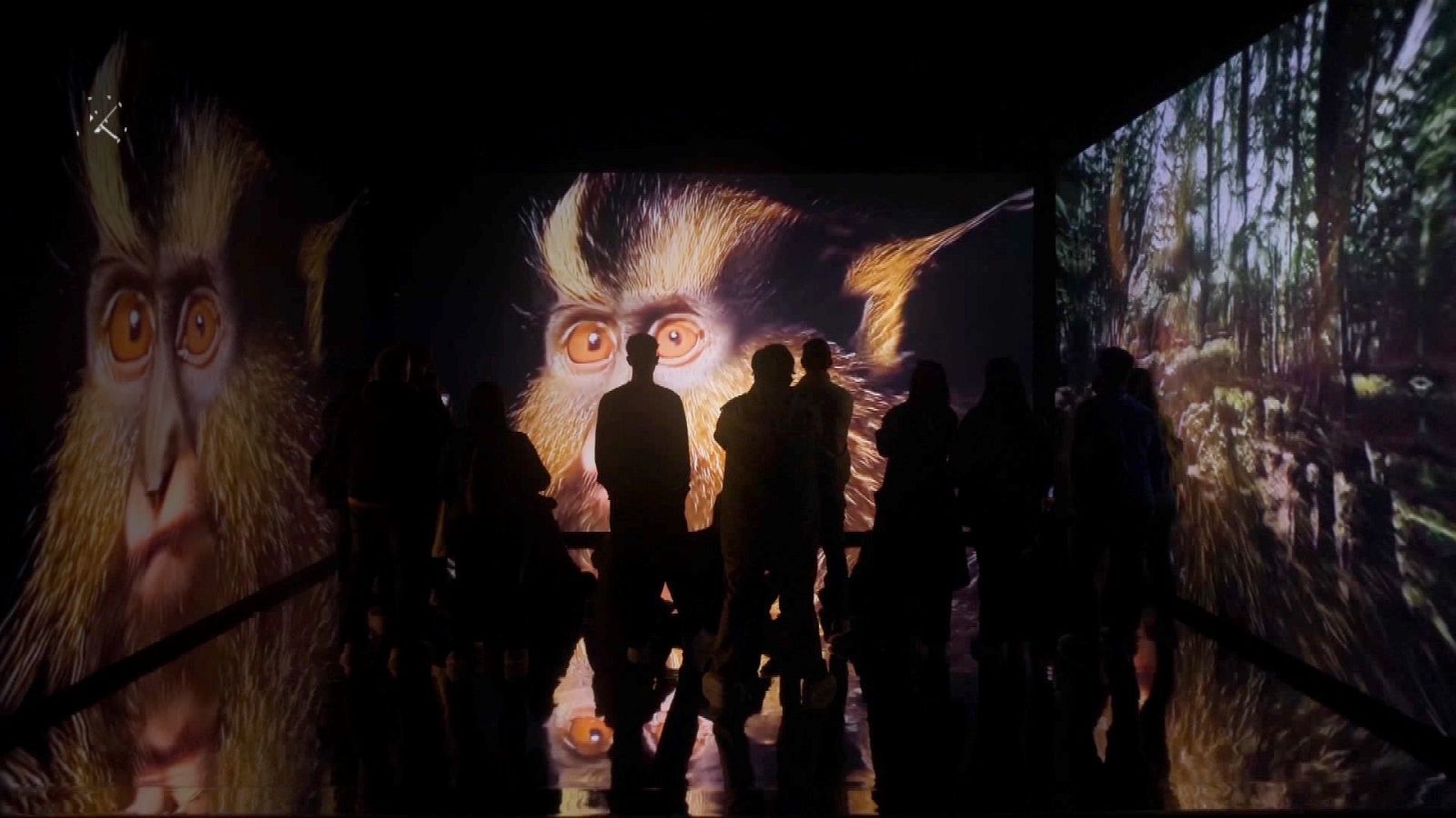 Zoom Net - Connect 24, WashG1, Arcfox y L:E:V. - ver ahora