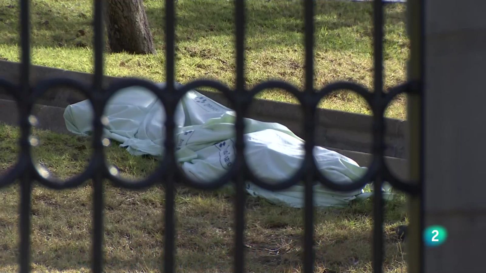 Telecanarias 2 - 31/05/2024 | Ver