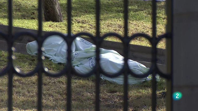 Telecanarias 2 - 31/05/2024 | Ver