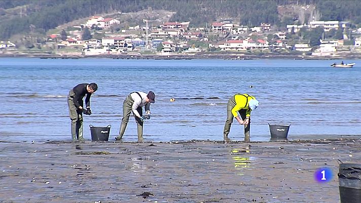 Telediario Fin de Semana - Falta semilla para la cría de almeja