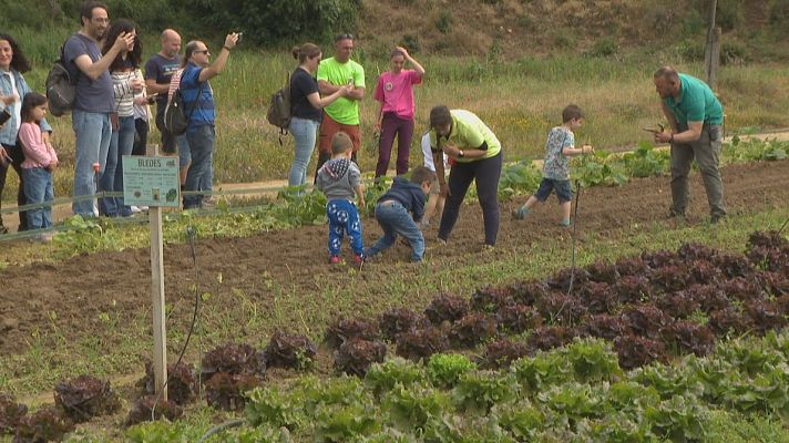 L'Informatiu - Els aliments no cauen del cel