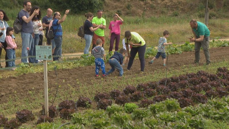 Els aliments no cauen del cel - L'Informatiu | Veure