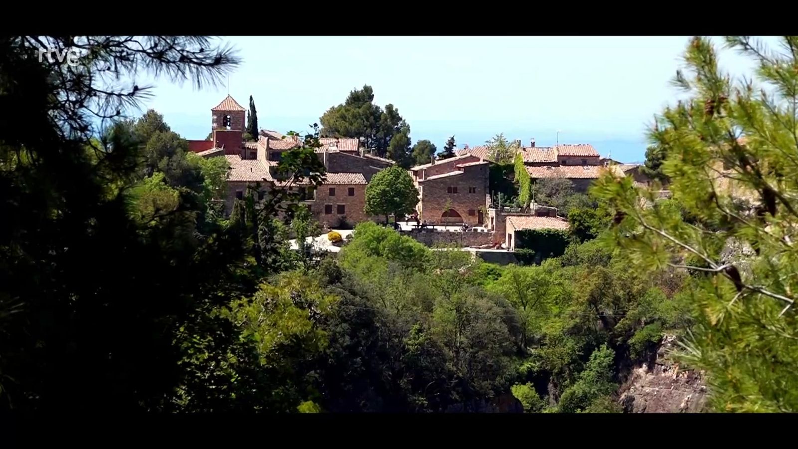 Zoom Tendencias - 02/06/24 - ver ahora