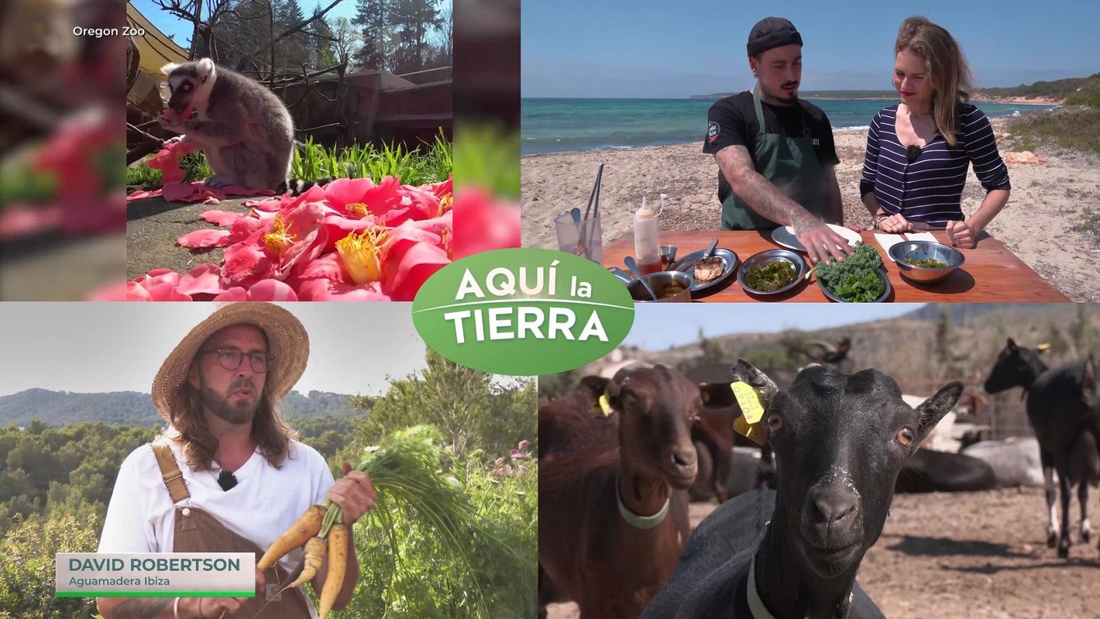 Aquí la Tierra - 02/06/24 - ver ahora