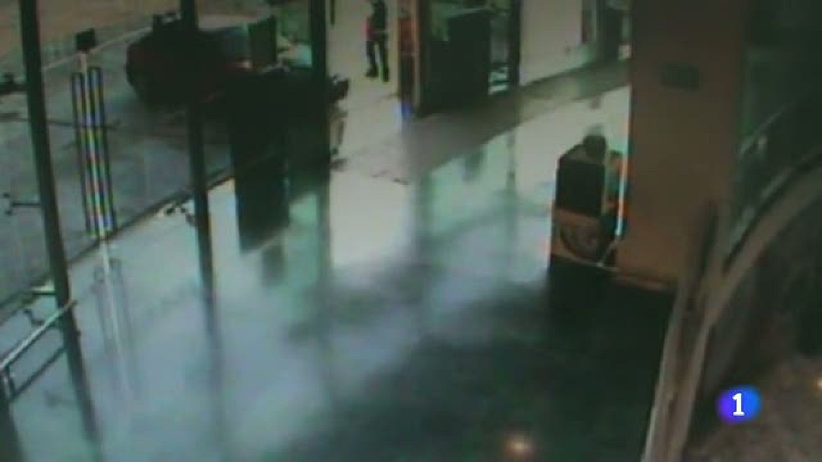 Desarticulada organización criminal especializada en robos