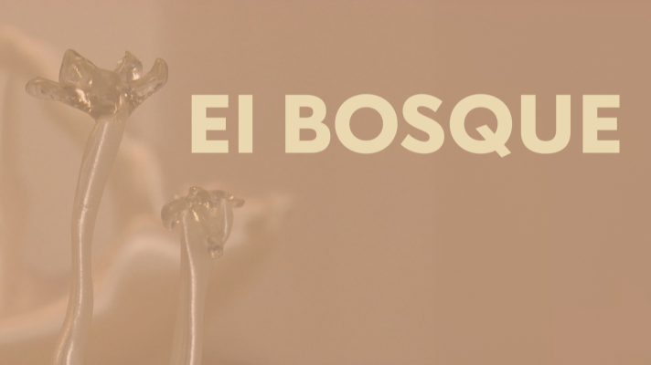 Noticias Andalucía - Un bosque de nácar