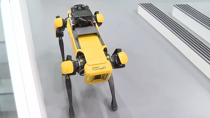 La tarde en 24h - La tarde en 24 horas - 03/06/24