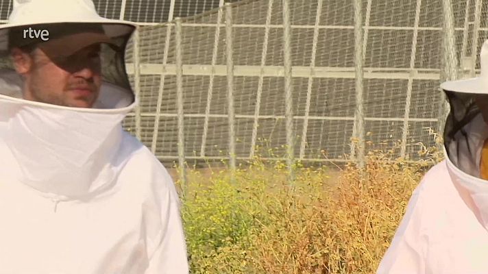 Aquí hay trabajo - El trabajo en tres empresas sostenibles