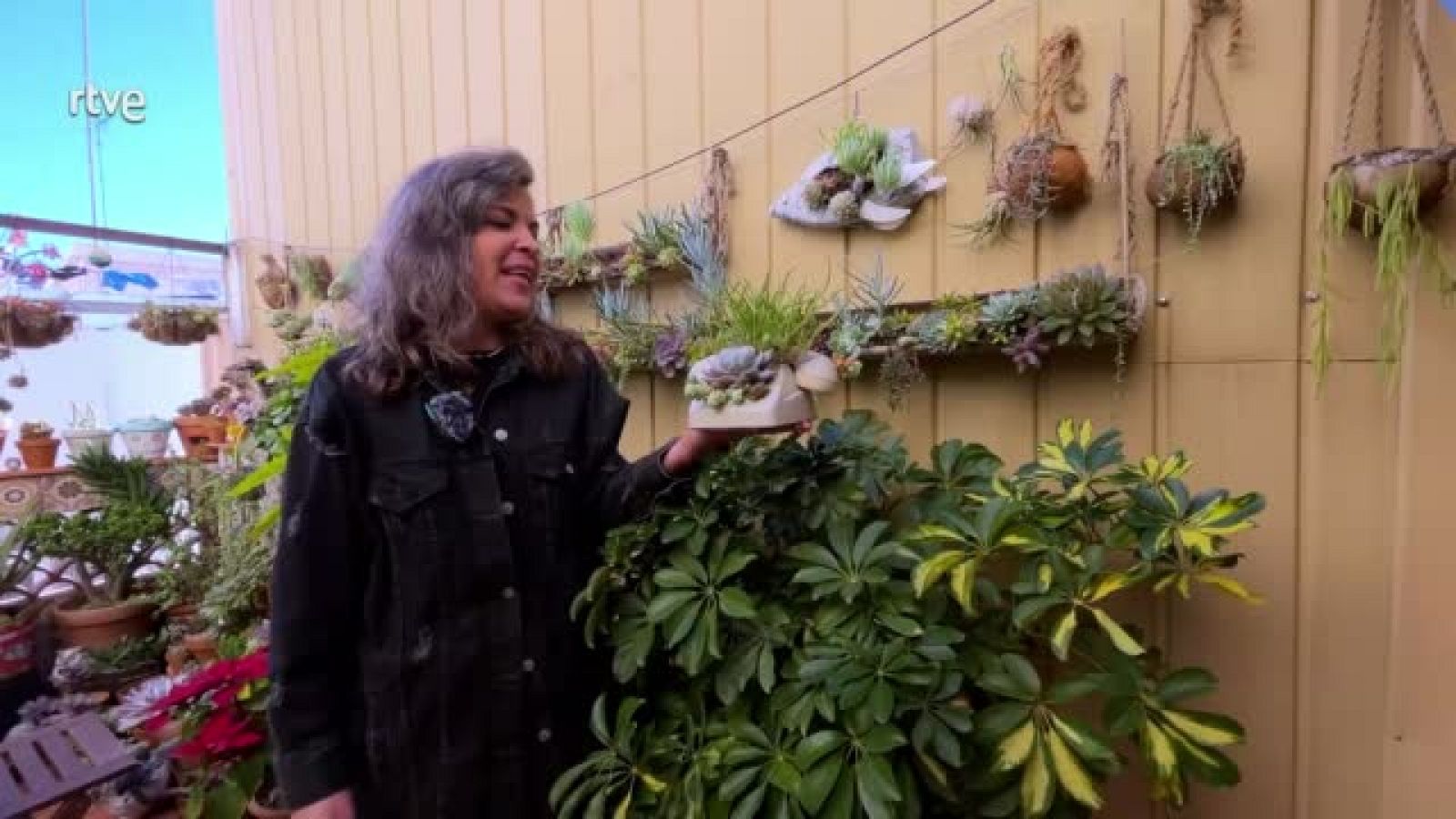 Art viu – Va de Verd | RTVE Catalunya - Va de verd | Veure