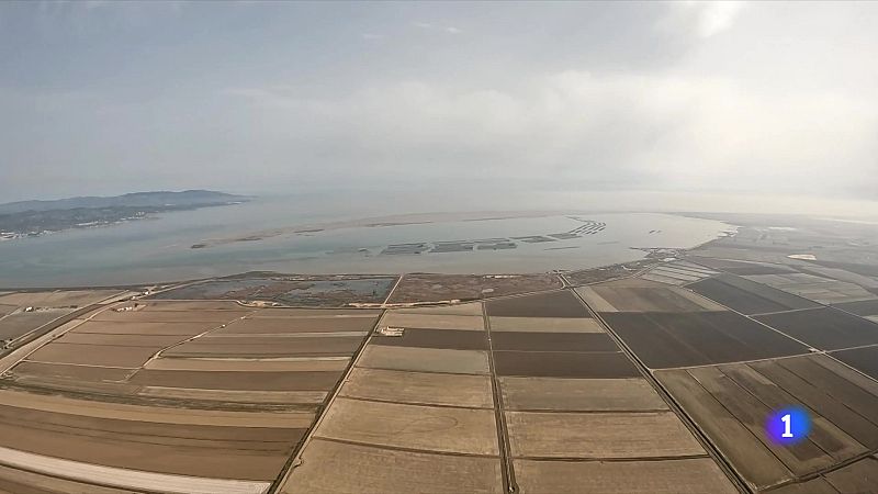 Els experts reclamen que el Delta de l'Ebre tingui personalitat jurídica - L'Informatiu | Veure