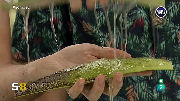 Somos 8 - Somos 8 - 06/06/2024