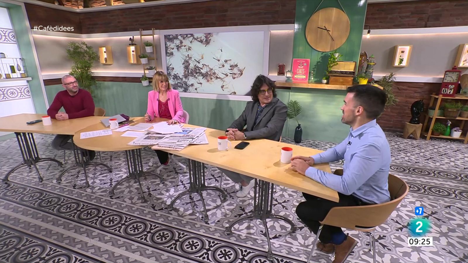 Les plagues d'estiu s'avancen dos mesos: com les podem combatre? - Cafè d'idees | Veure