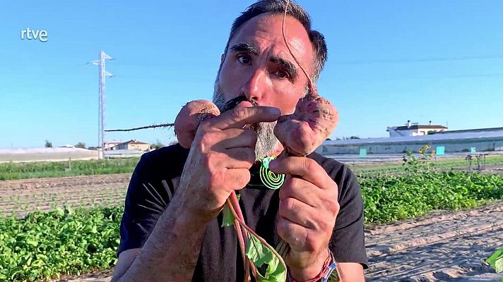 Va de verd - Verdures lletges