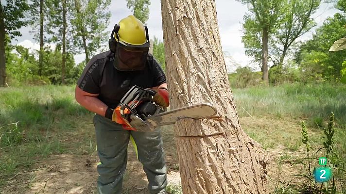 La aventura del Saber - Qué quiero ser de mayor: CIFP N.º 1 Cuenca. Familia Agraria