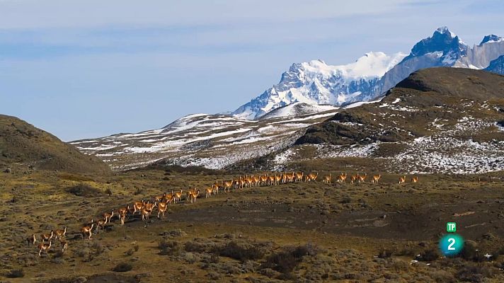 Som Documentals - Edèn, paradisos remots: Patagònia, els confins de la Terra