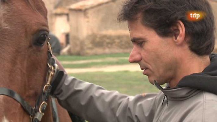 Motociclismo - Reportaje: Alex Crivillé