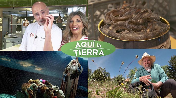 Aquí la Tierra - Aquí la Tierra - 10/06/24