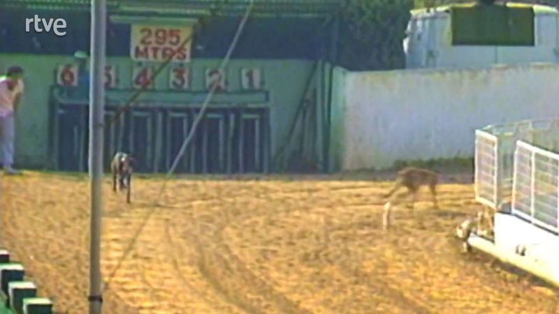 Jornades Catalunya-Alemanya. Gossos al servei de la societat | Veure