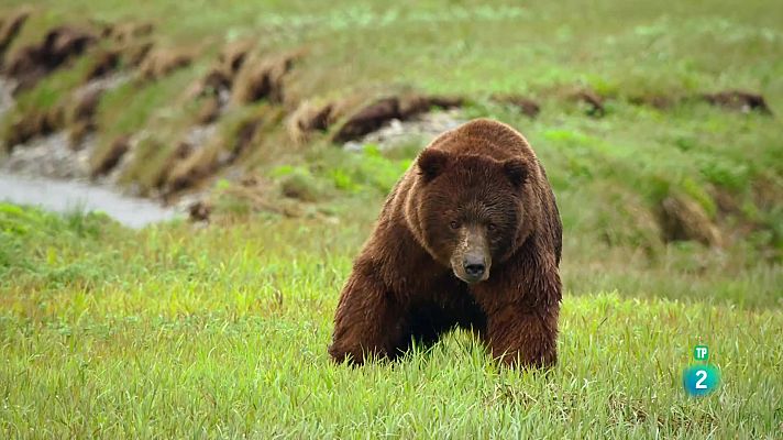 Som Documentals - Edèn, paradisos remots: Alaska, l'última frontera americana