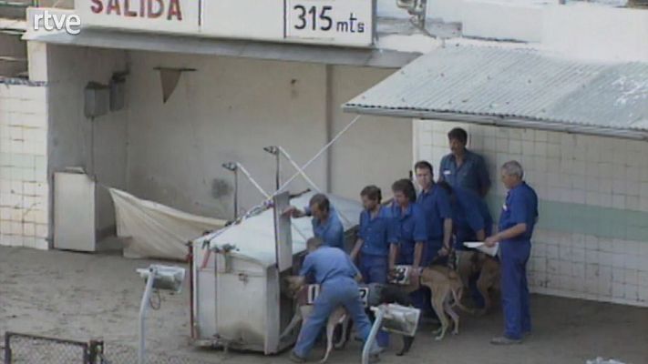 Catalunya avui - 14/04/2004