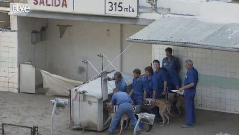 El darrer canòdrom; identifiquen soldats republicans a Manresa - Catalunya avui | Veure