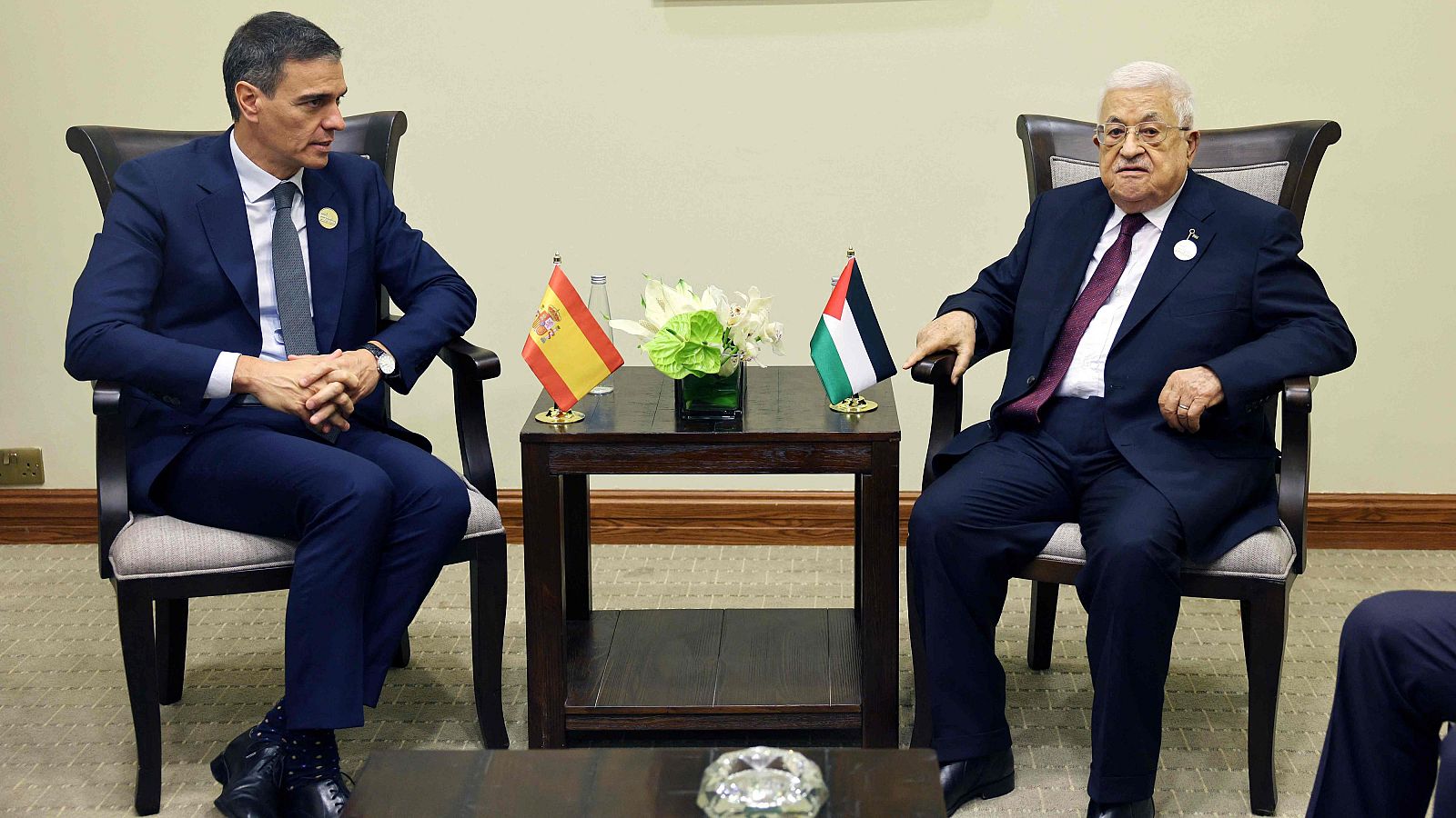 Guerra en Gaza: Sánchez anuncia un paquete de ayuda a Palestina | Ver