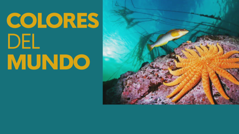 "Colores del mundo" de National Geographic - Noticias Andalucía | Ver