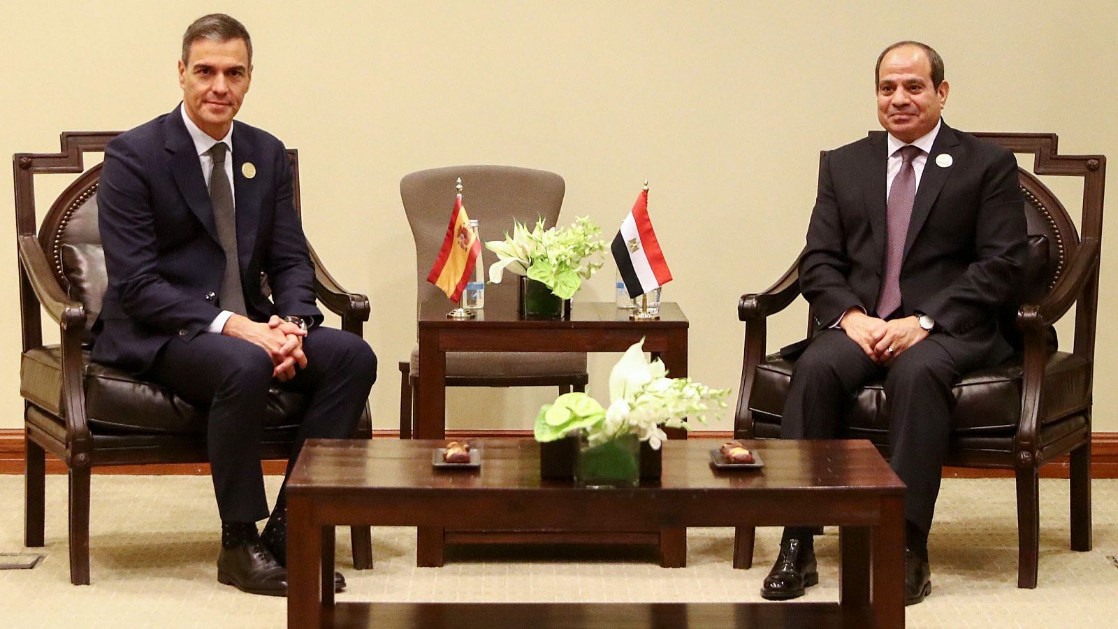 Cumbre en Jordania: España movilizará 16 millones de euros para ayuda en Gaza | Ver