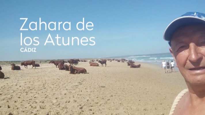  - Vicente - Cuidemos la naturaleza