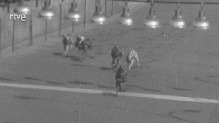 Arxiu TVE Catalunya - Inauguració del 'Canódromo Avenida' de Barcelona, l'any 1962