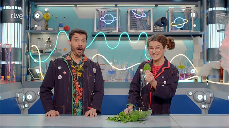 ¿Por qué hay plantas que no son verdes? - Aprendemos en Clan: El Reto | Ver