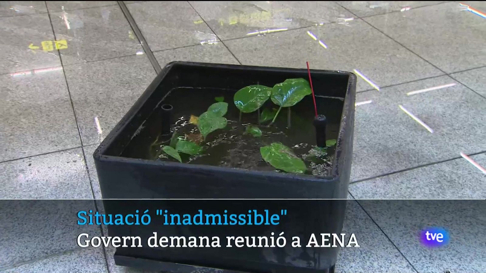 Informatiu Balear en 2' - 13/06/24 | Ver